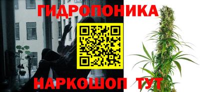 соль курить ск Кингисепп