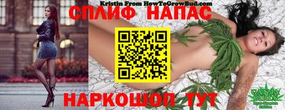 ГАЛЛЮЦИНОГЕННЫЕ ГРИБЫ Кимры
