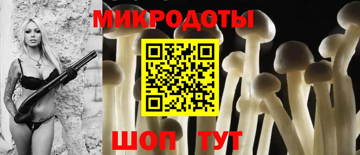 Псилоцибиновые грибы прущие грибы  Псилоцибиновые грибы Magic Shrooms  Красный Сулин 