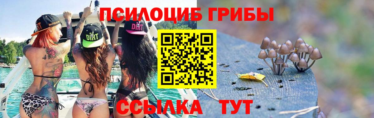 Псилоцибиновые грибы прущие грибы Красный Сулин
