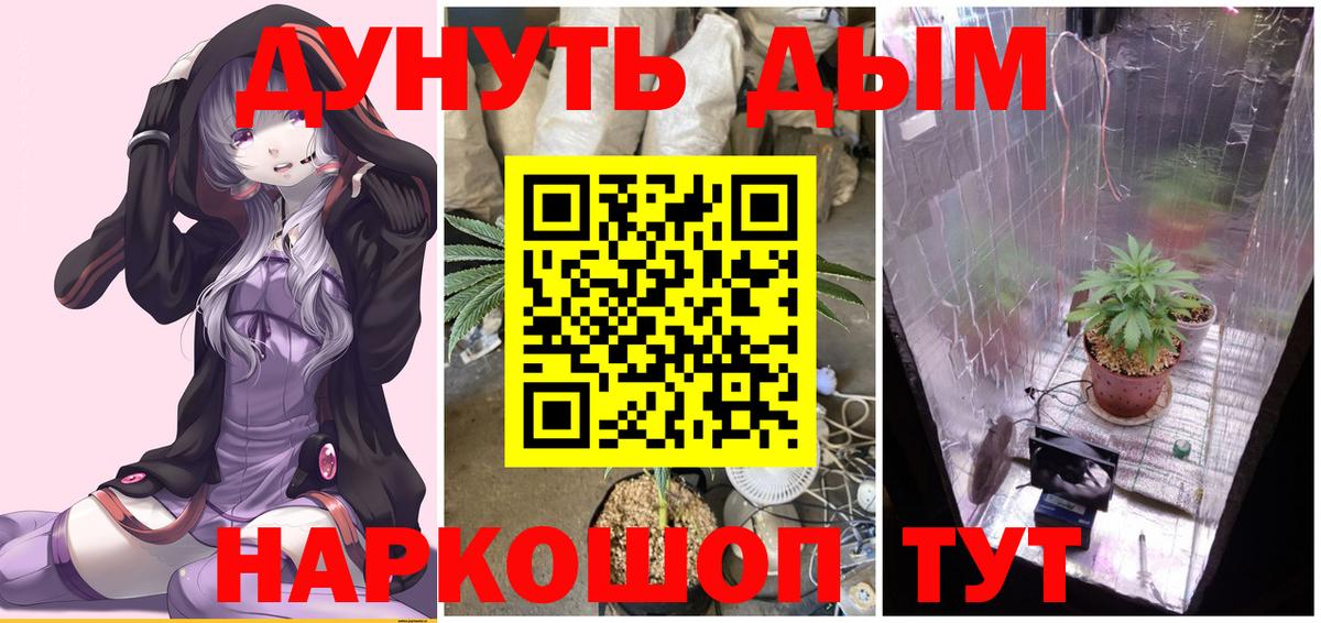 Бошки марихуана гибрид  Красный Сулин  МАРИХУАНА THC 21%  Бошки марихуана Amnesia 